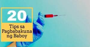 bakit nagsusuka ang baboy|20 Tips na Dapat Mong Malaman Bago Magbakuna .
